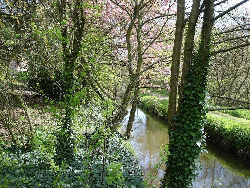 Les Vallees Du Guyoult Dol-de-Bretagne Dış mekan fotoğraf