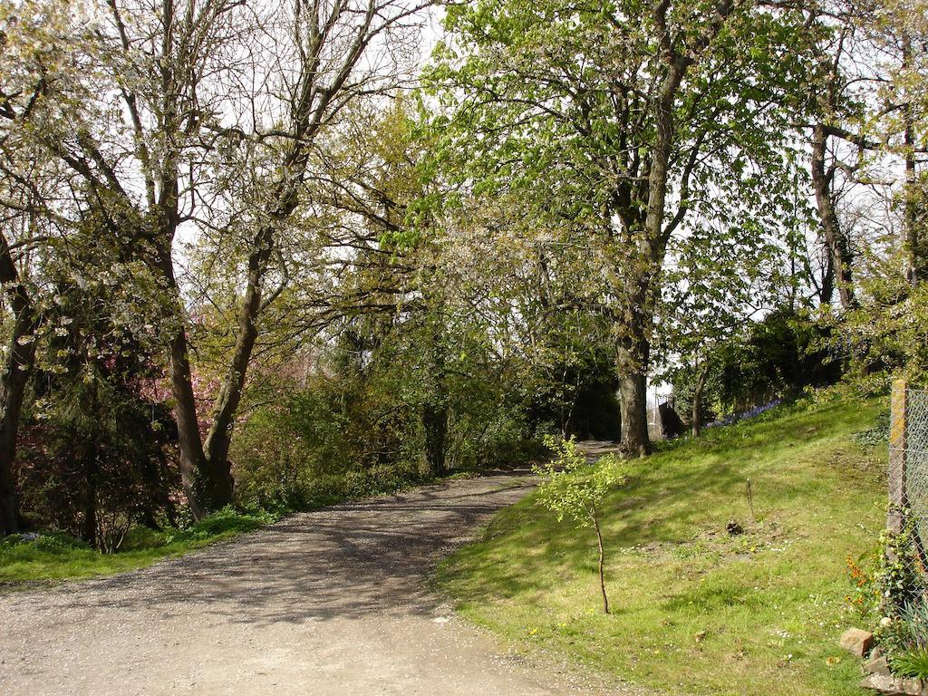 Les Vallees Du Guyoult Dol-de-Bretagne Dış mekan fotoğraf